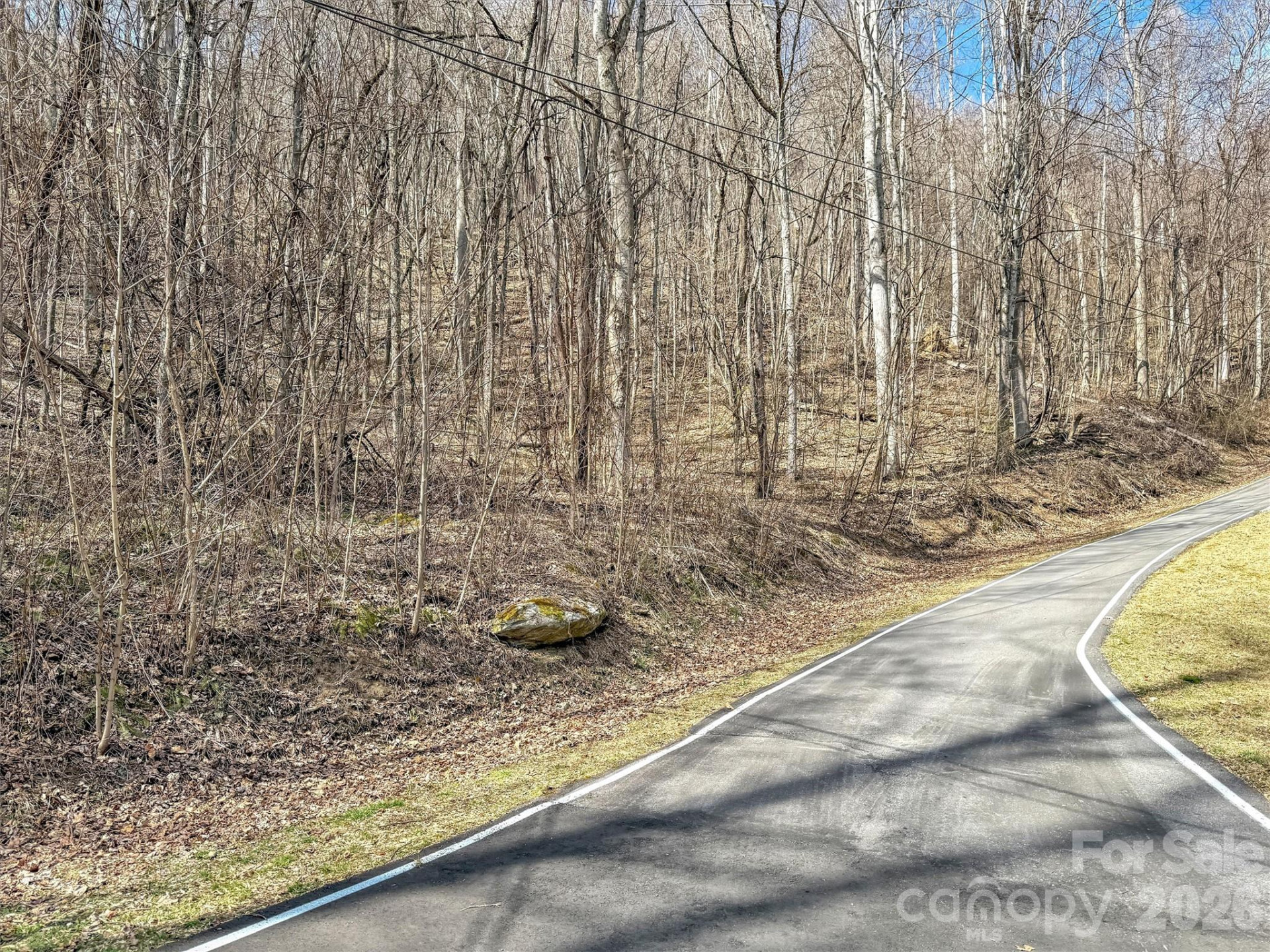 TBD Chipmunk Circle #27 - Photo 14