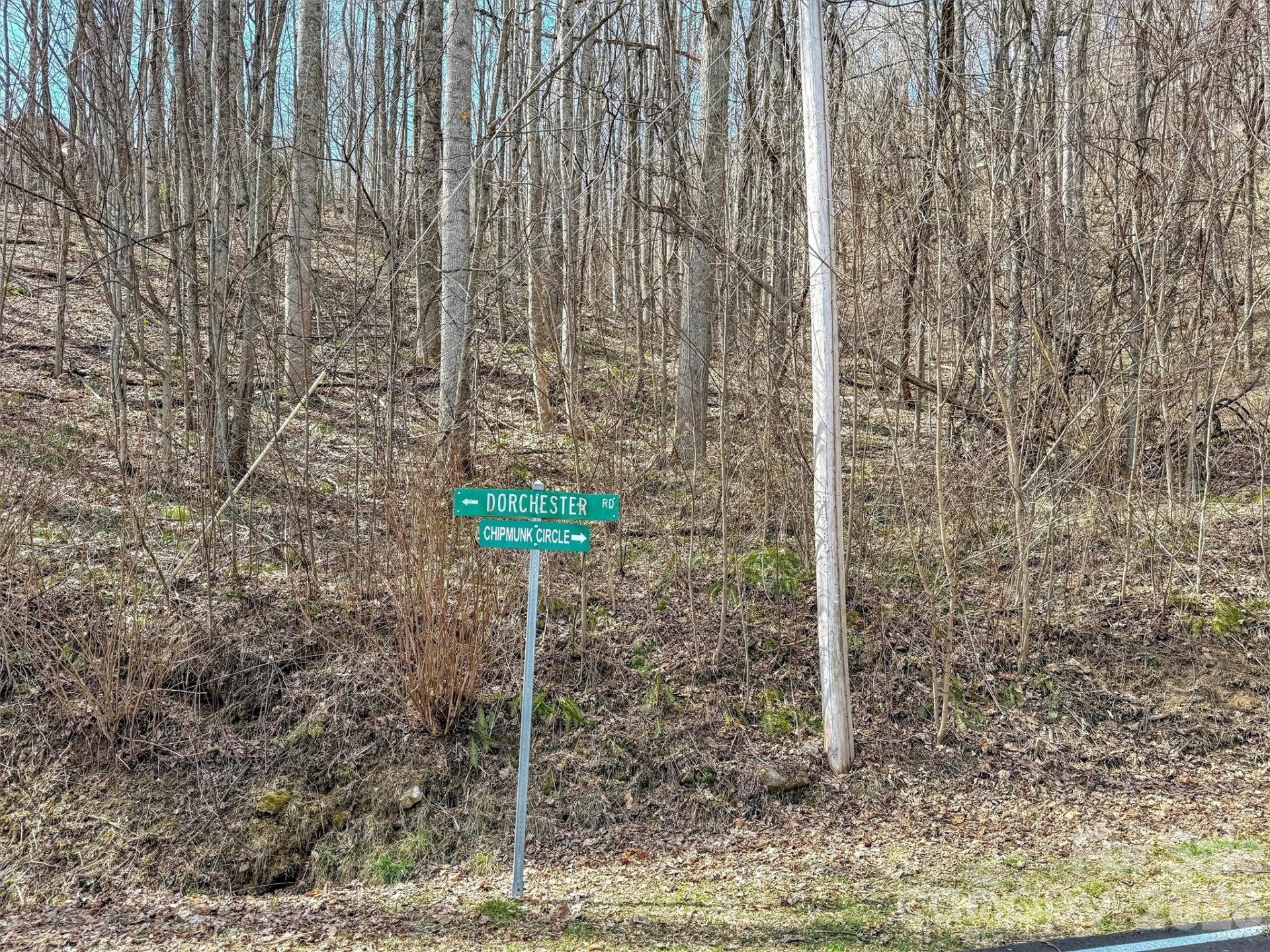 TBD Chipmunk Circle #27 - Photo 16