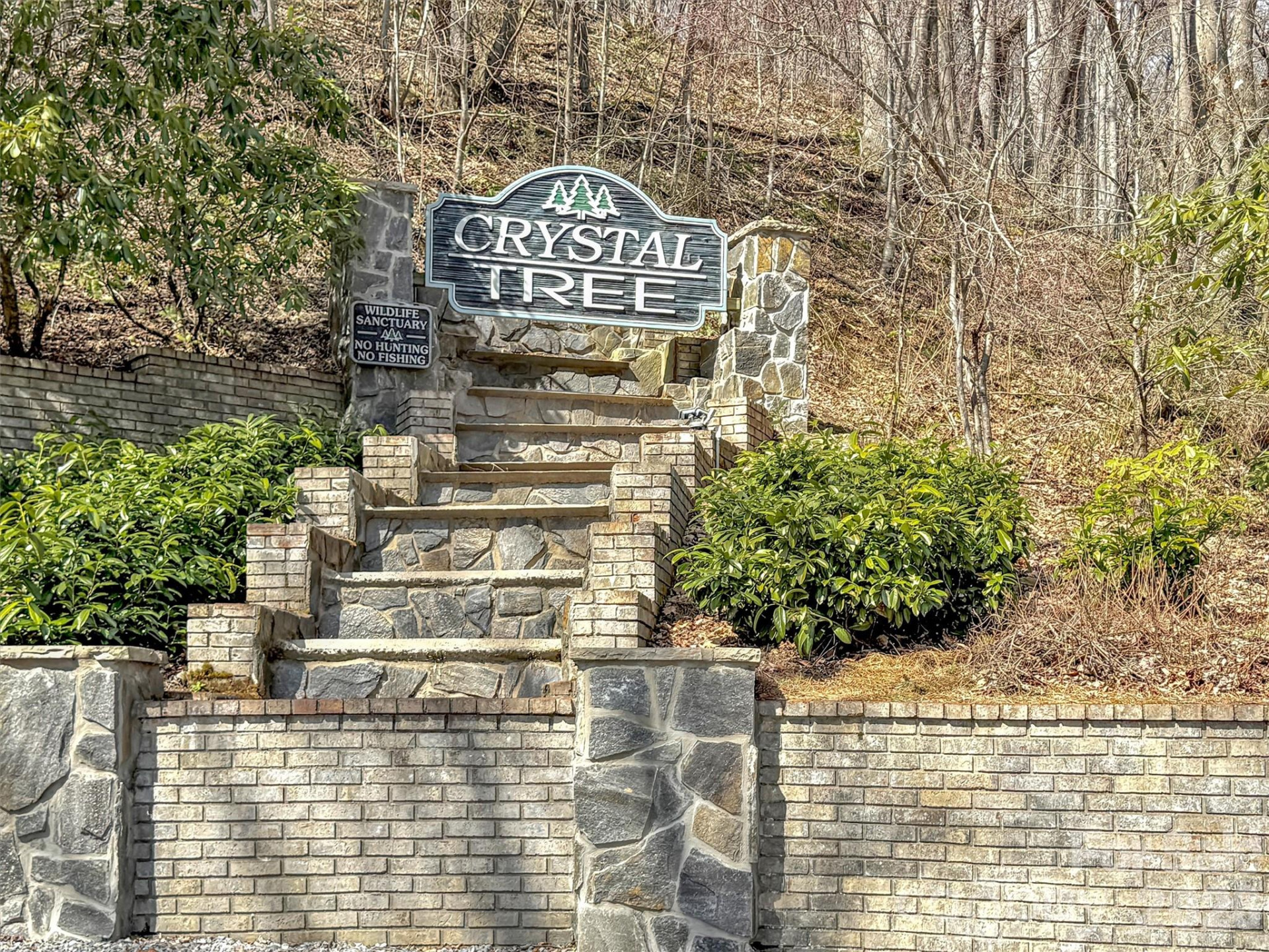 TBD Chipmunk Circle #27 - Photo 4