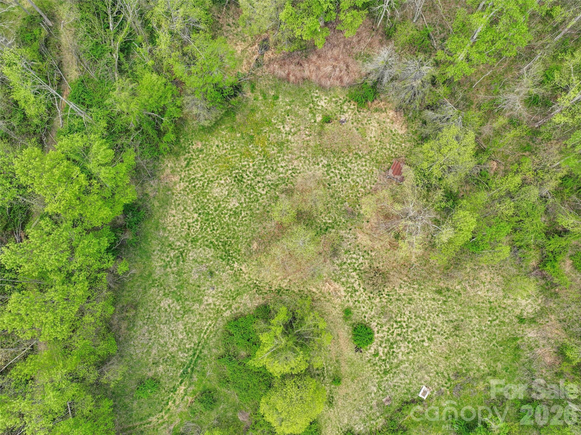 TBD Sierra Drive - Photo 11