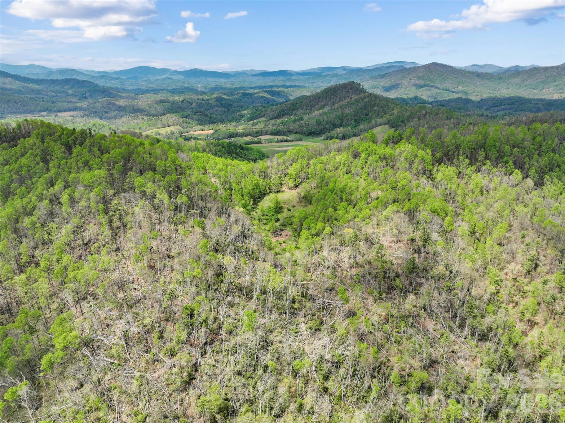 TBD Sierra Drive - Photo 12