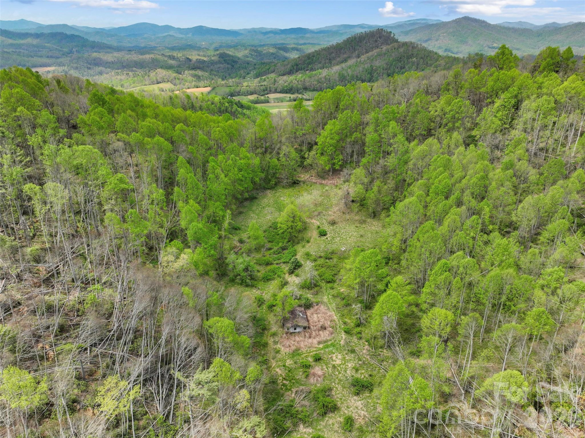 TBD Sierra Drive - Photo 13