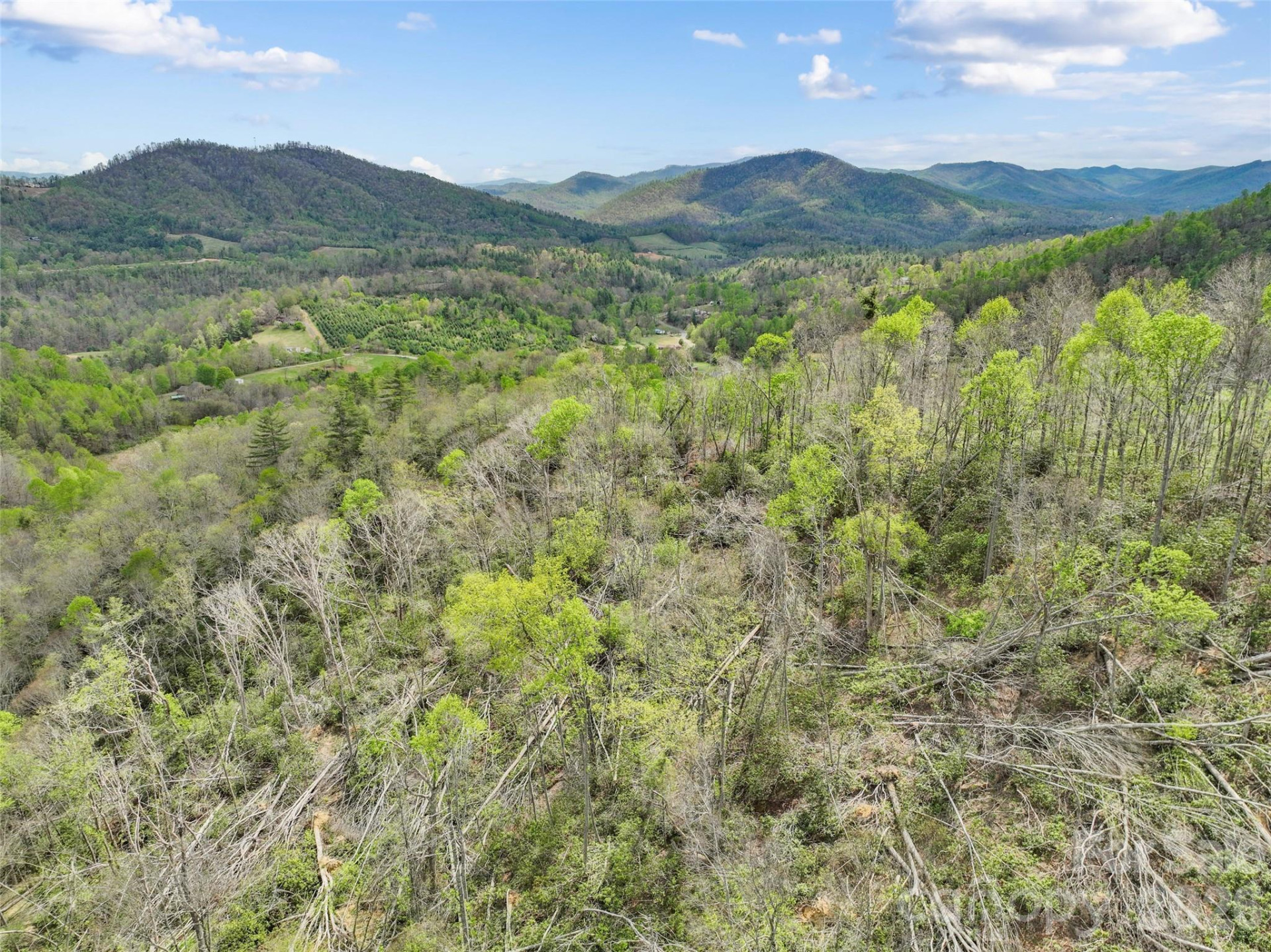 TBD Sierra Drive - Photo 14