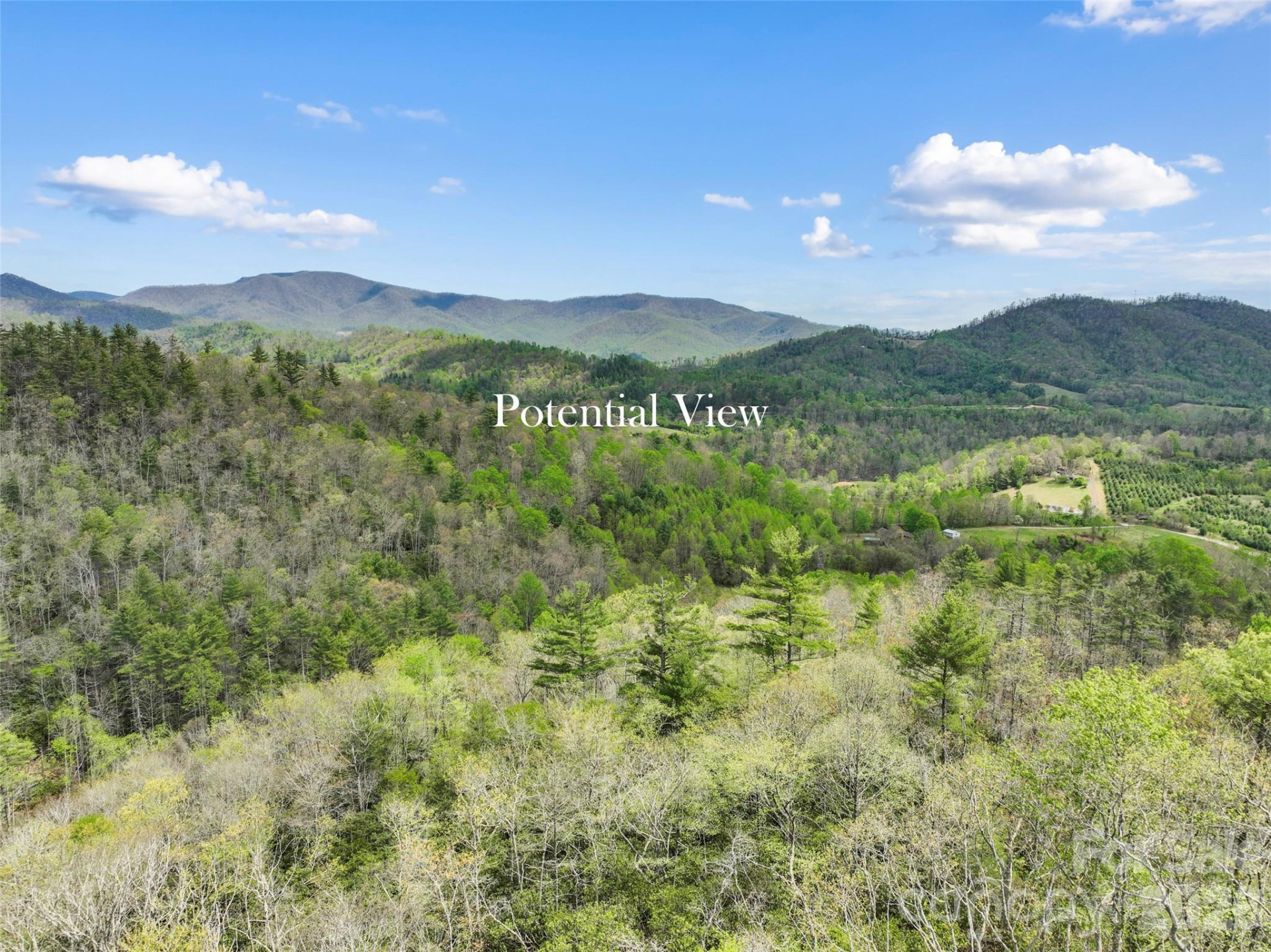 TBD Sierra Drive - Photo 17