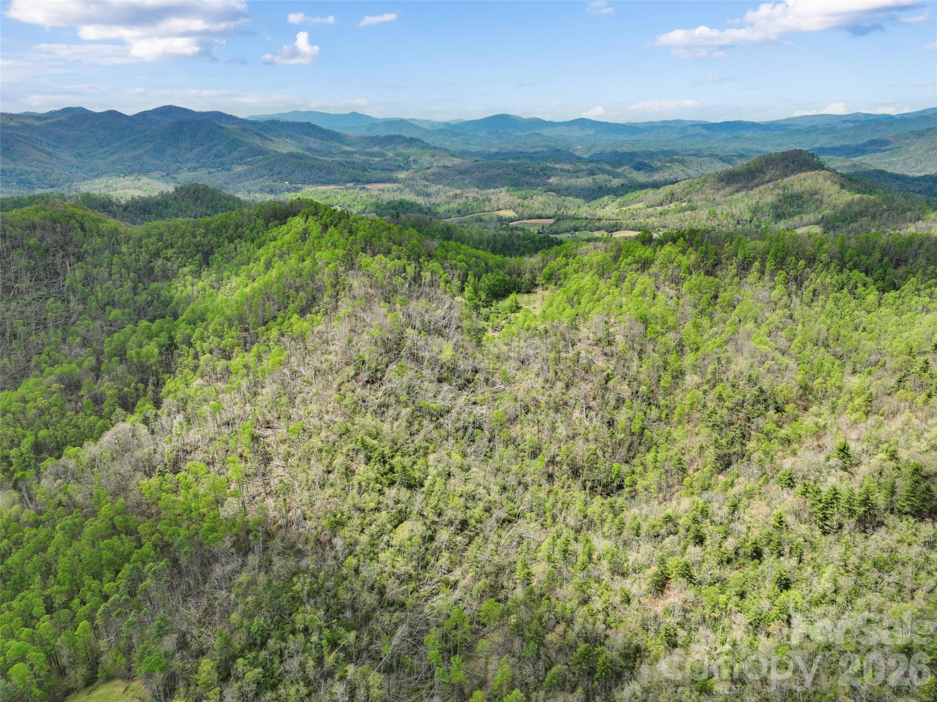 TBD Sierra Drive - Photo 18