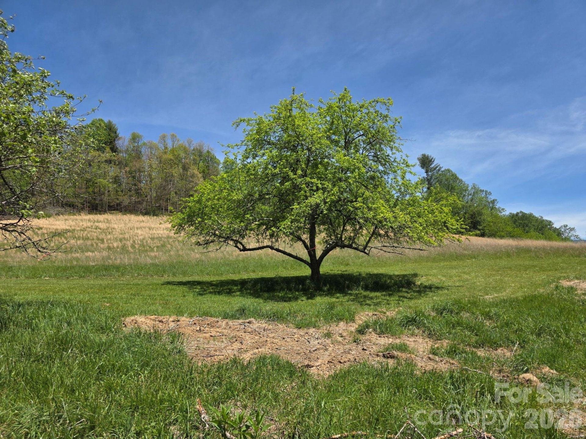 TBD Sierra Drive - Photo 25