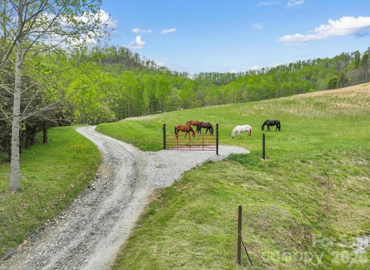 TBD Sierra Drive - Photo 27