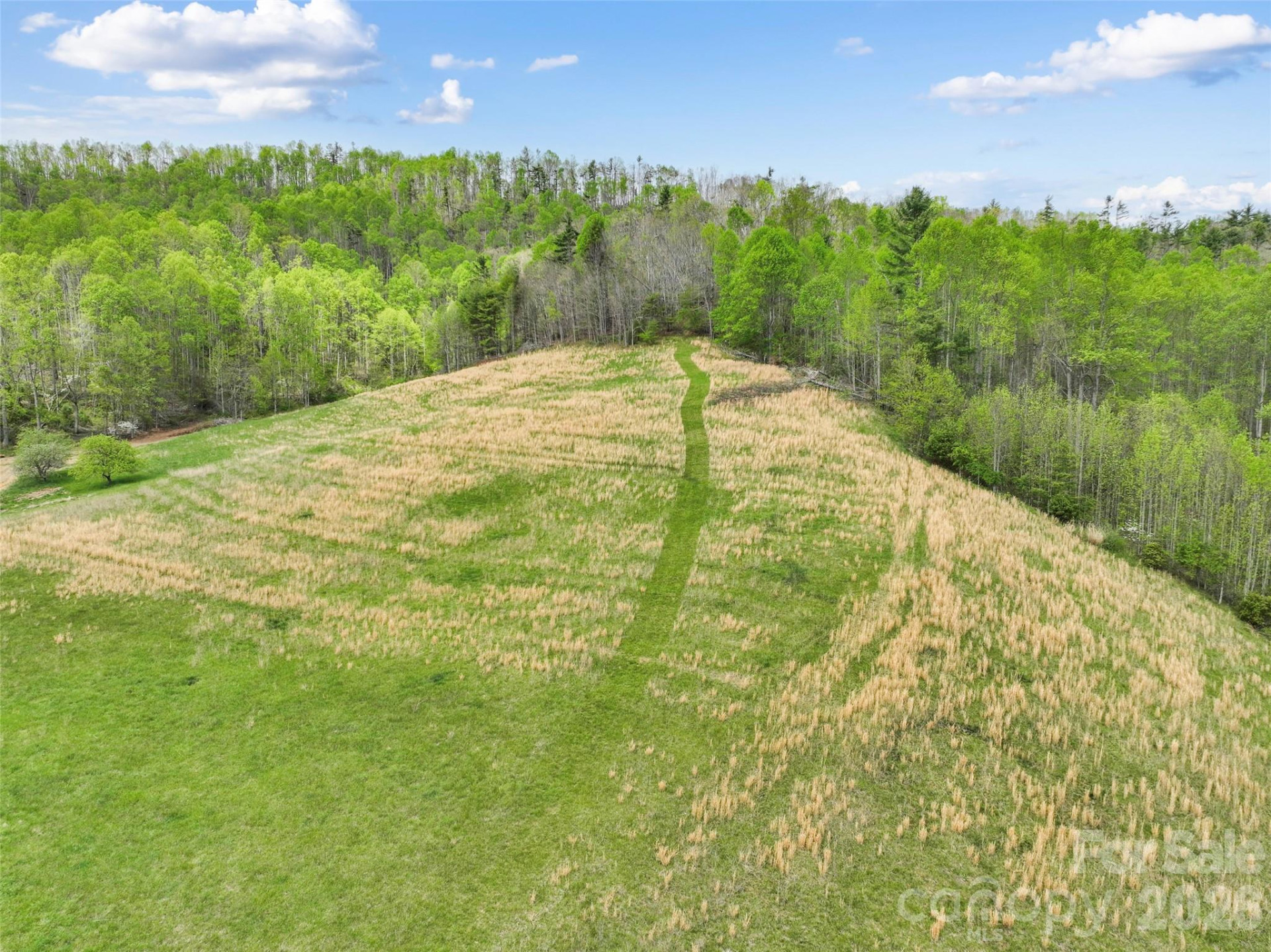 TBD Sierra Drive - Photo 5