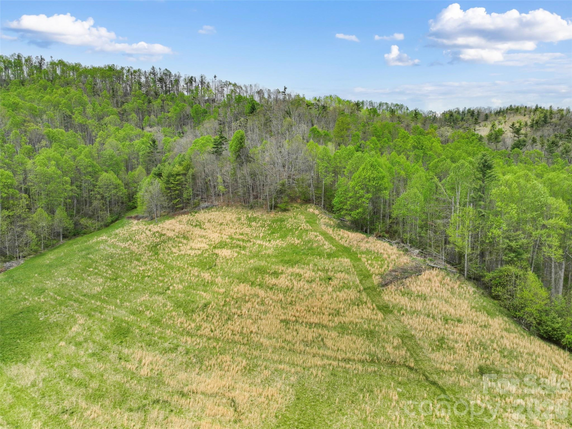 TBD Sierra Drive - Photo 7