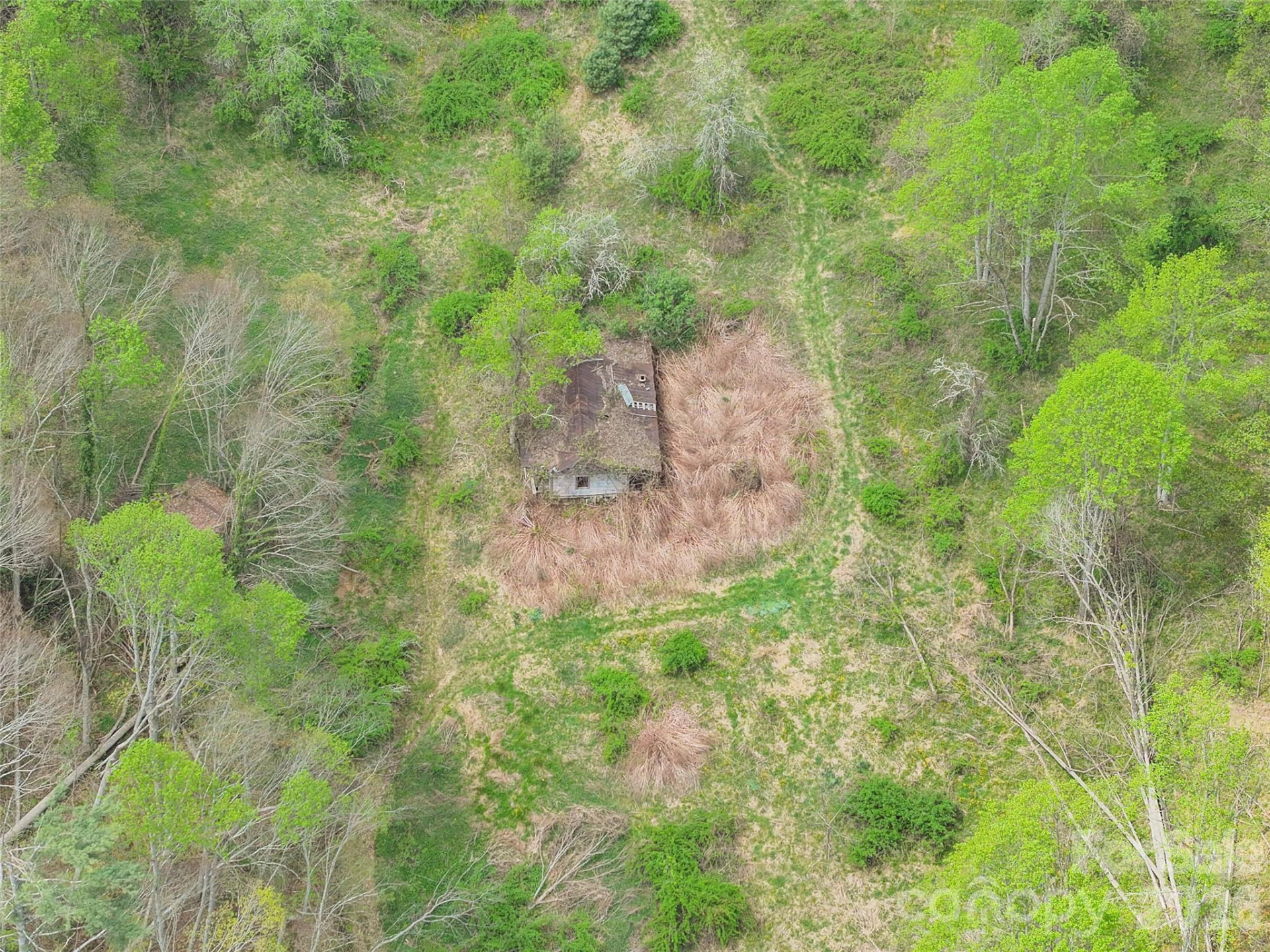 TBD Sierra Drive - Photo 9