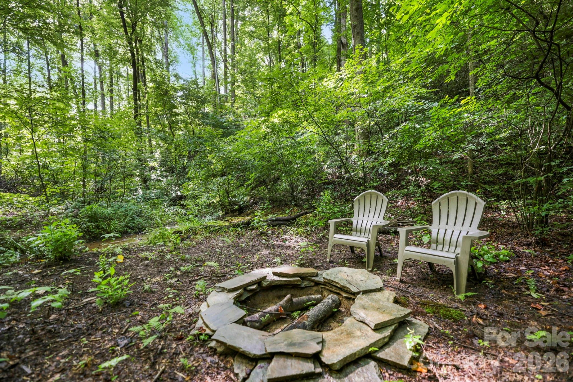 316 Big Raven Lane - Photo 42