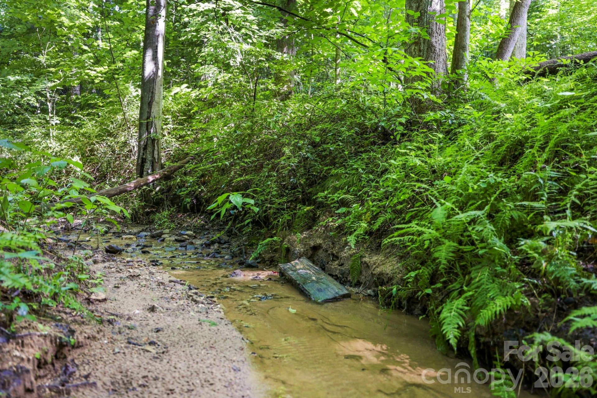 316 Big Raven Lane - Photo 43
