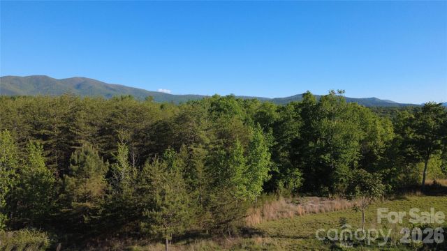 431 Ridge Point Road, Nebo, NC, 28761