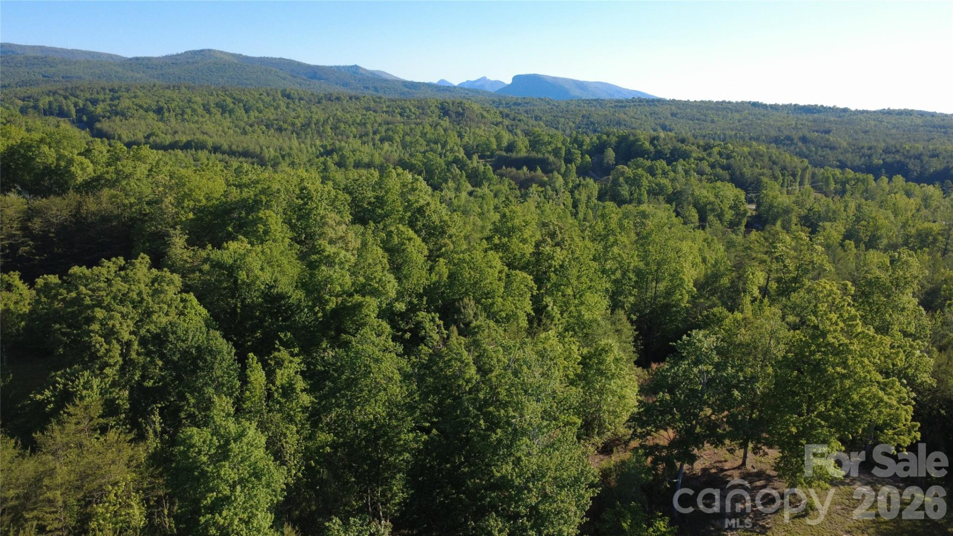 431 Ridge Point Road #7 - Photo 15