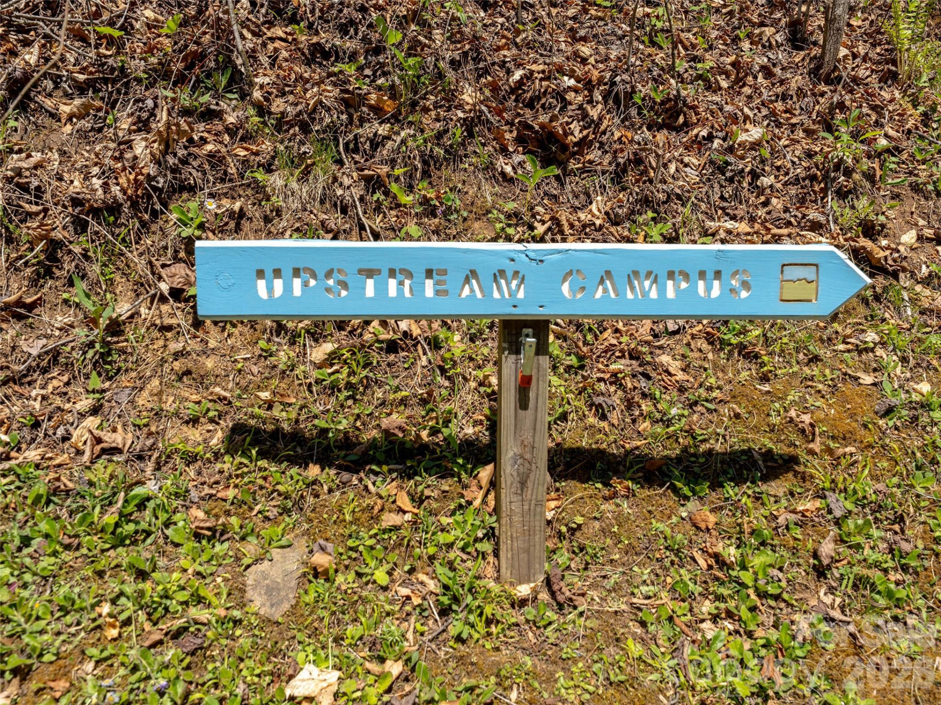 95 Upstream Campus Trail - Photo 12