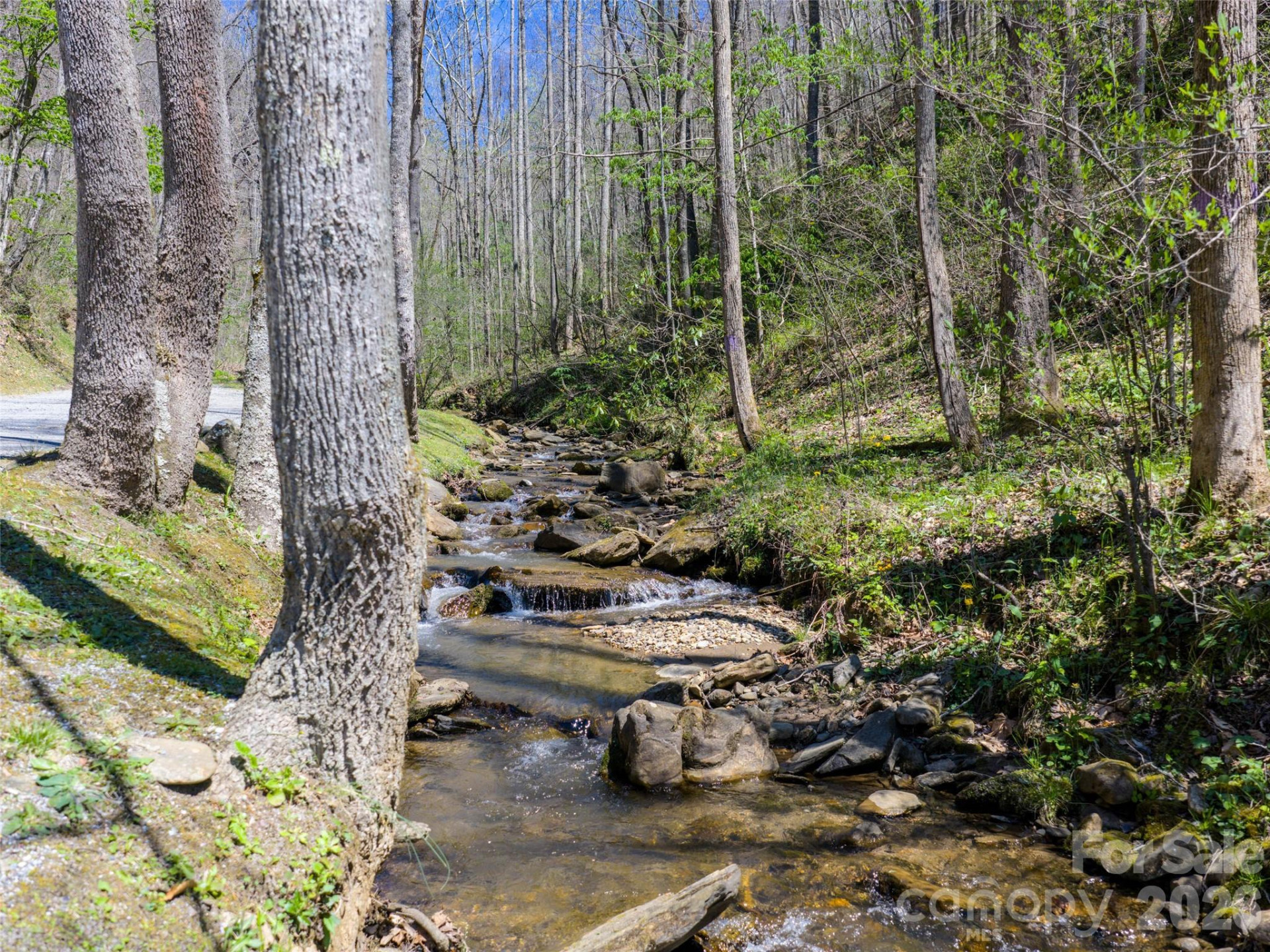 95 Upstream Campus Trail - Photo 20