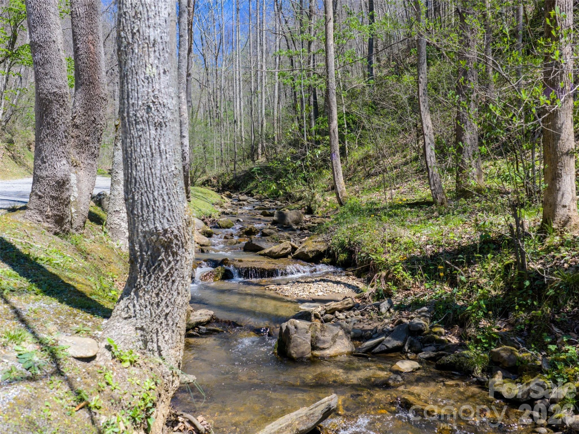95 Upstream Campus Trail - Photo 20