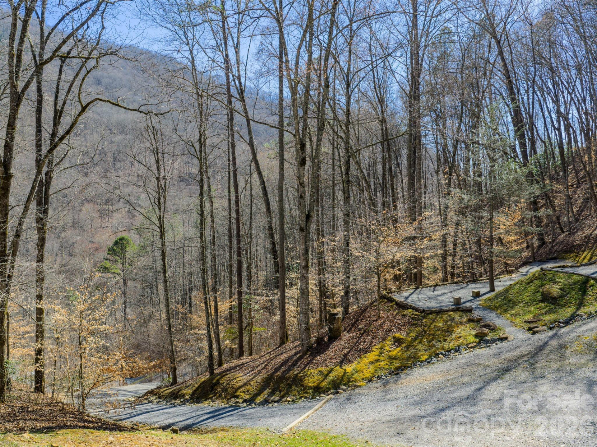 95 Upstream Campus Trail - Photo 7