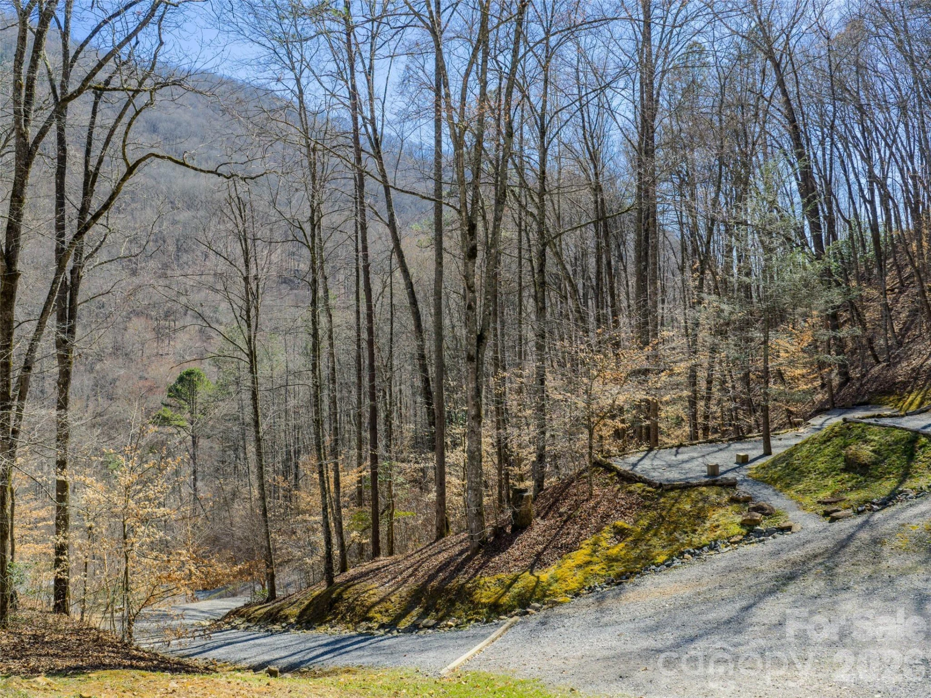 95 Upstream Campus Trail - Photo 7