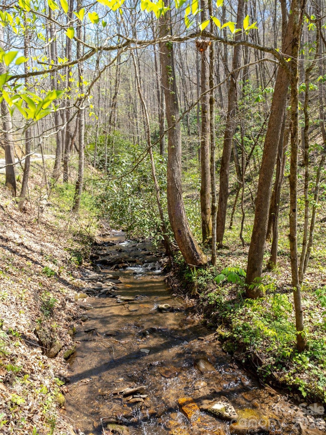 95 Upstream Campus Trail - Photo 8