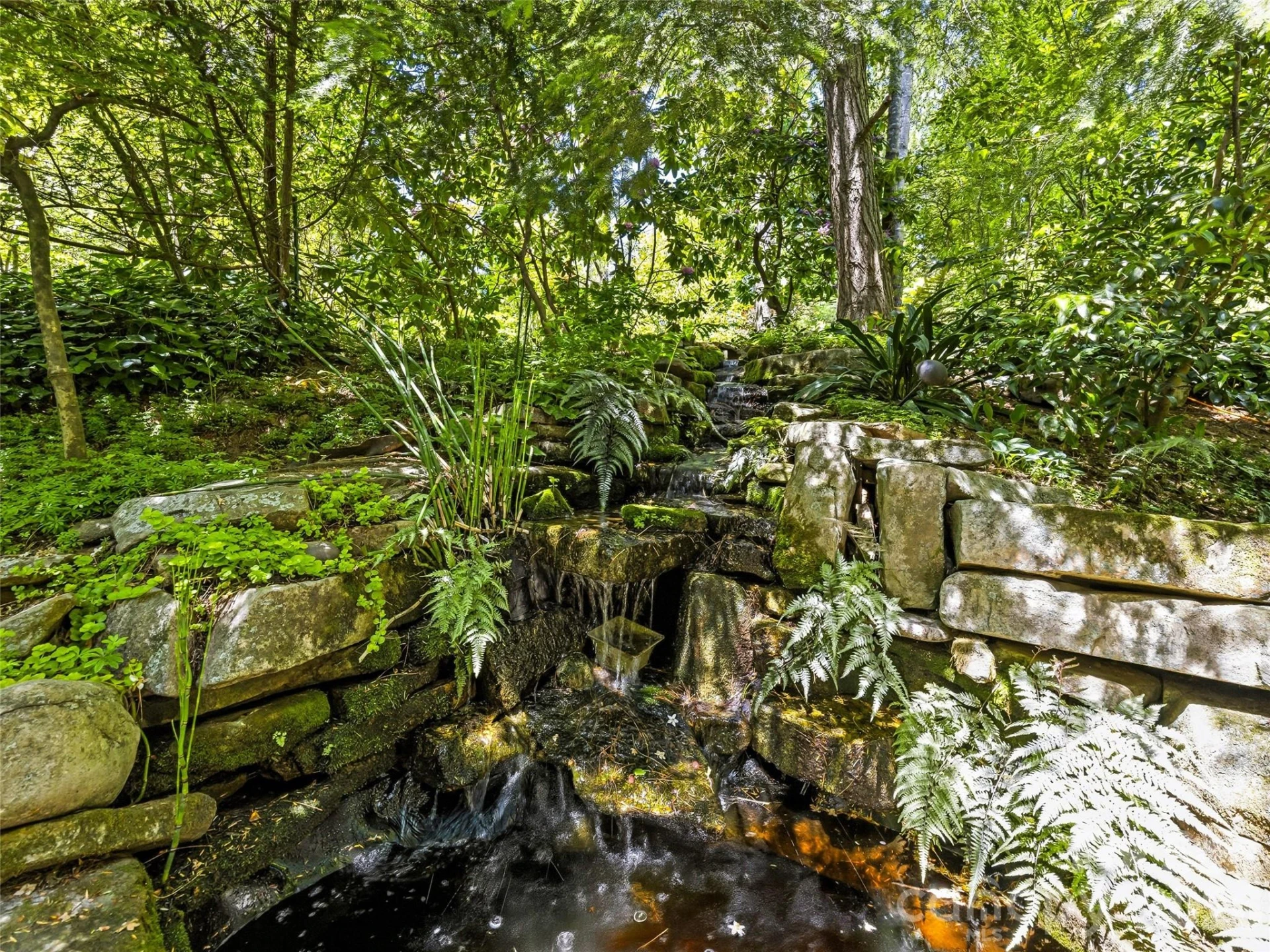 109 Stuyvesant Road - Photo 10