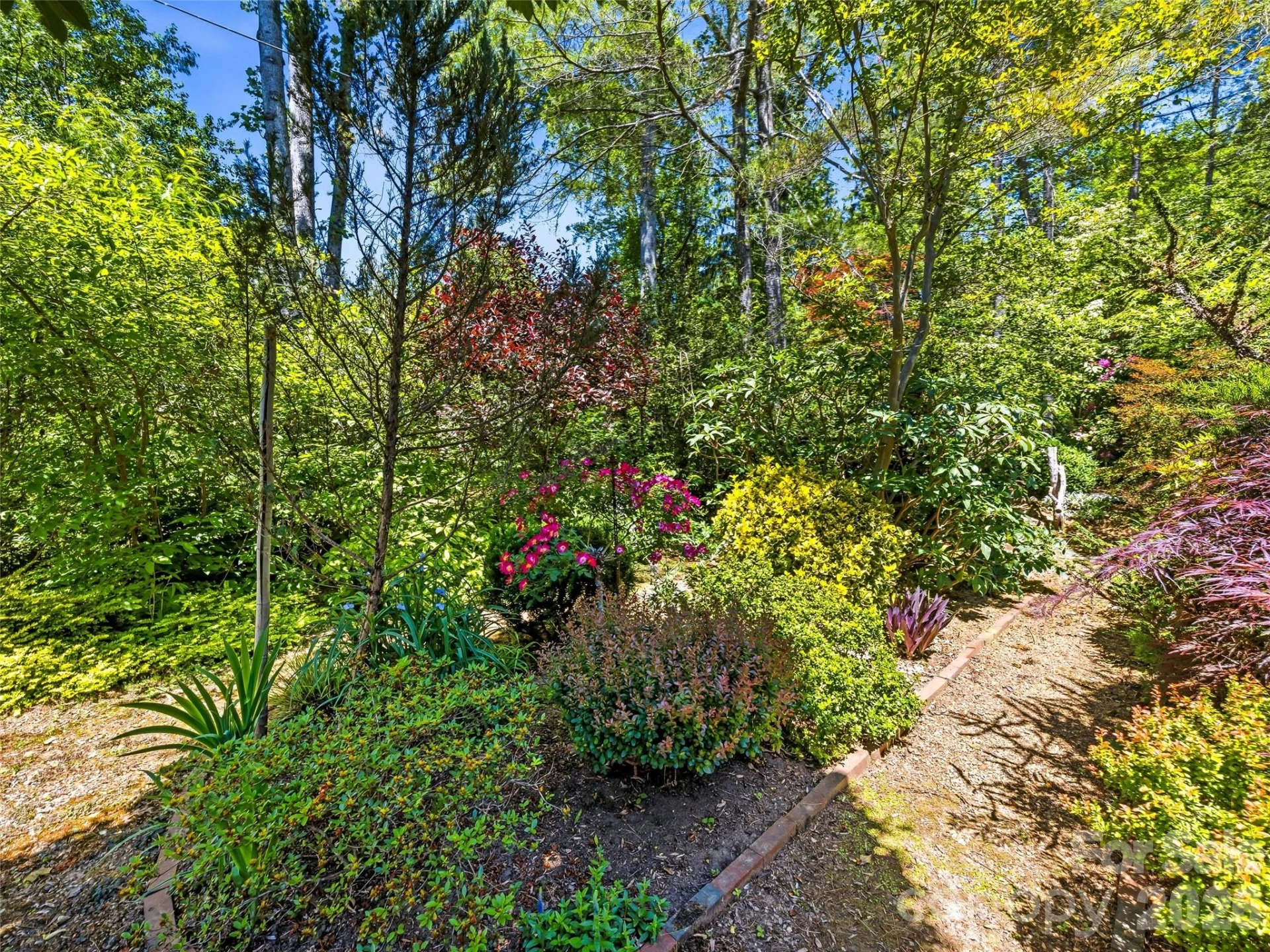 109 Stuyvesant Road - Photo 7