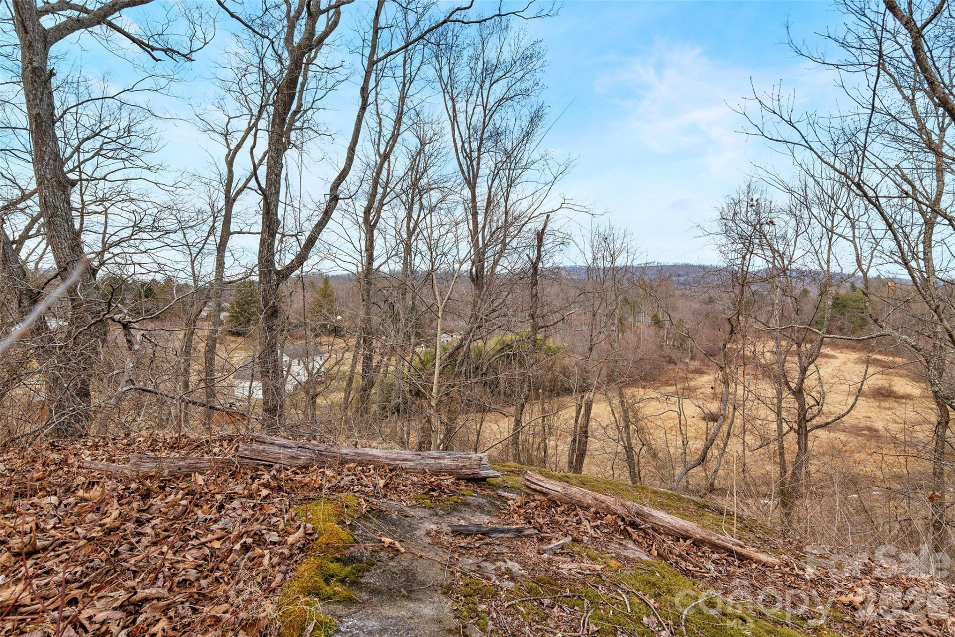 2025 Howard Gap Road - Photo 40