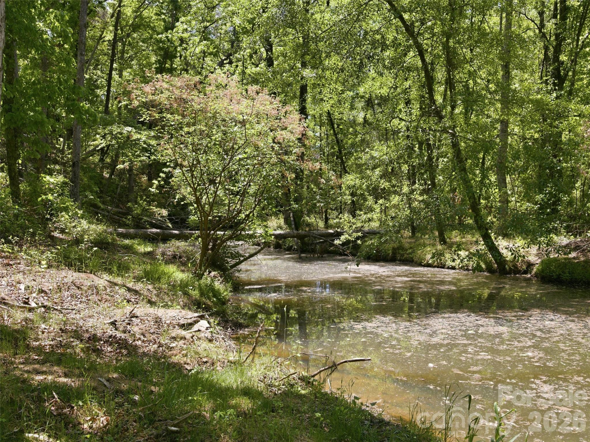 450 Washington Street - Photo 24