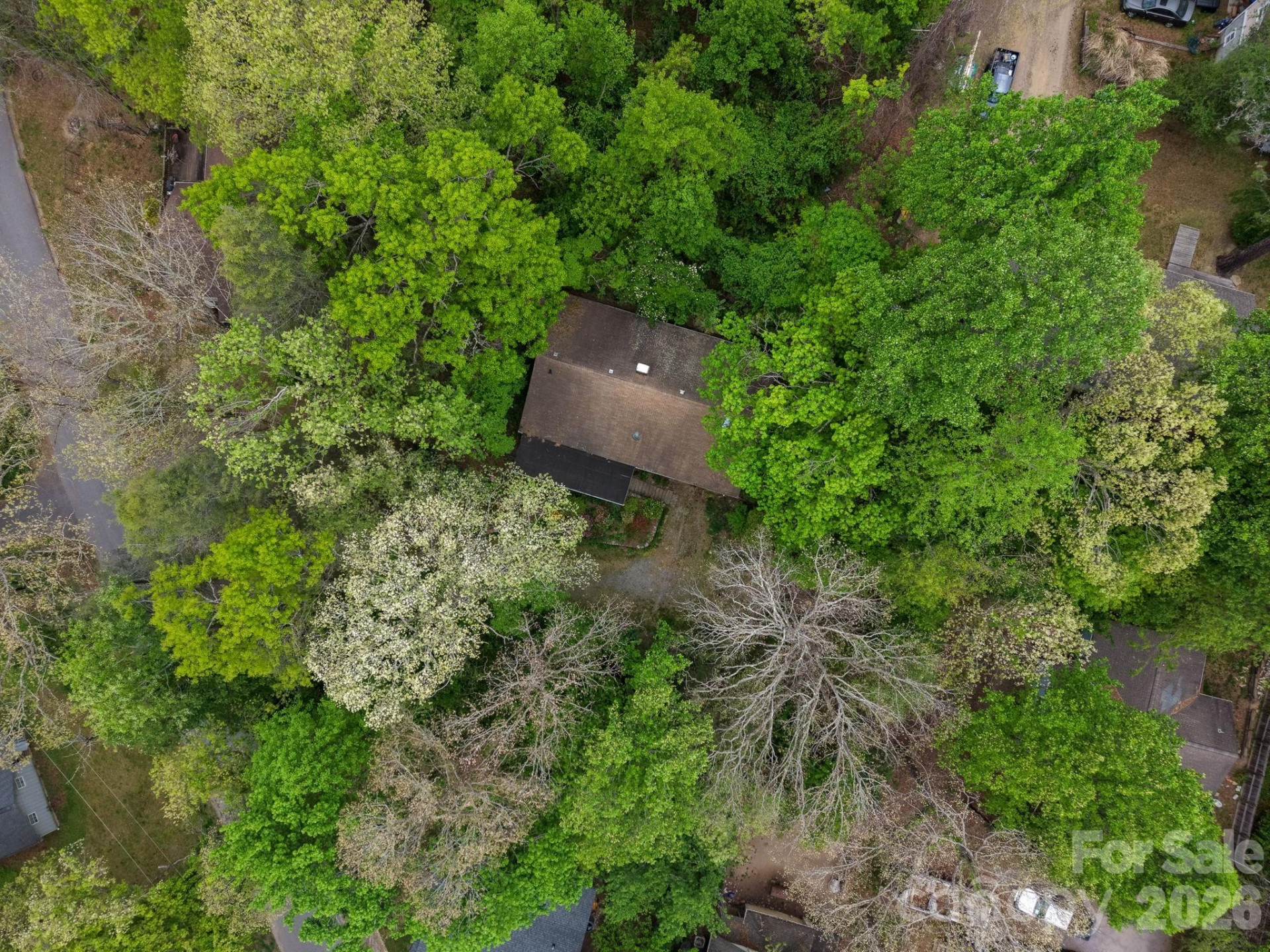257 Pine Street - Photo 26