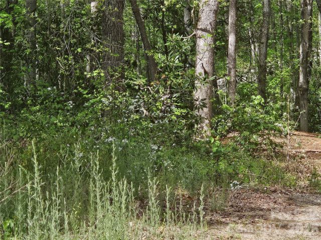 22 Graulich Lane, Candler, NC, 28715