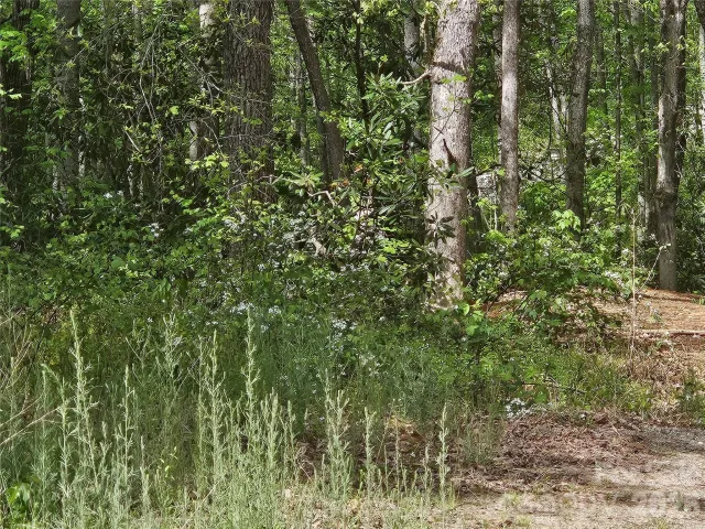 22 Graulich Lane, Candler, NC, 28715