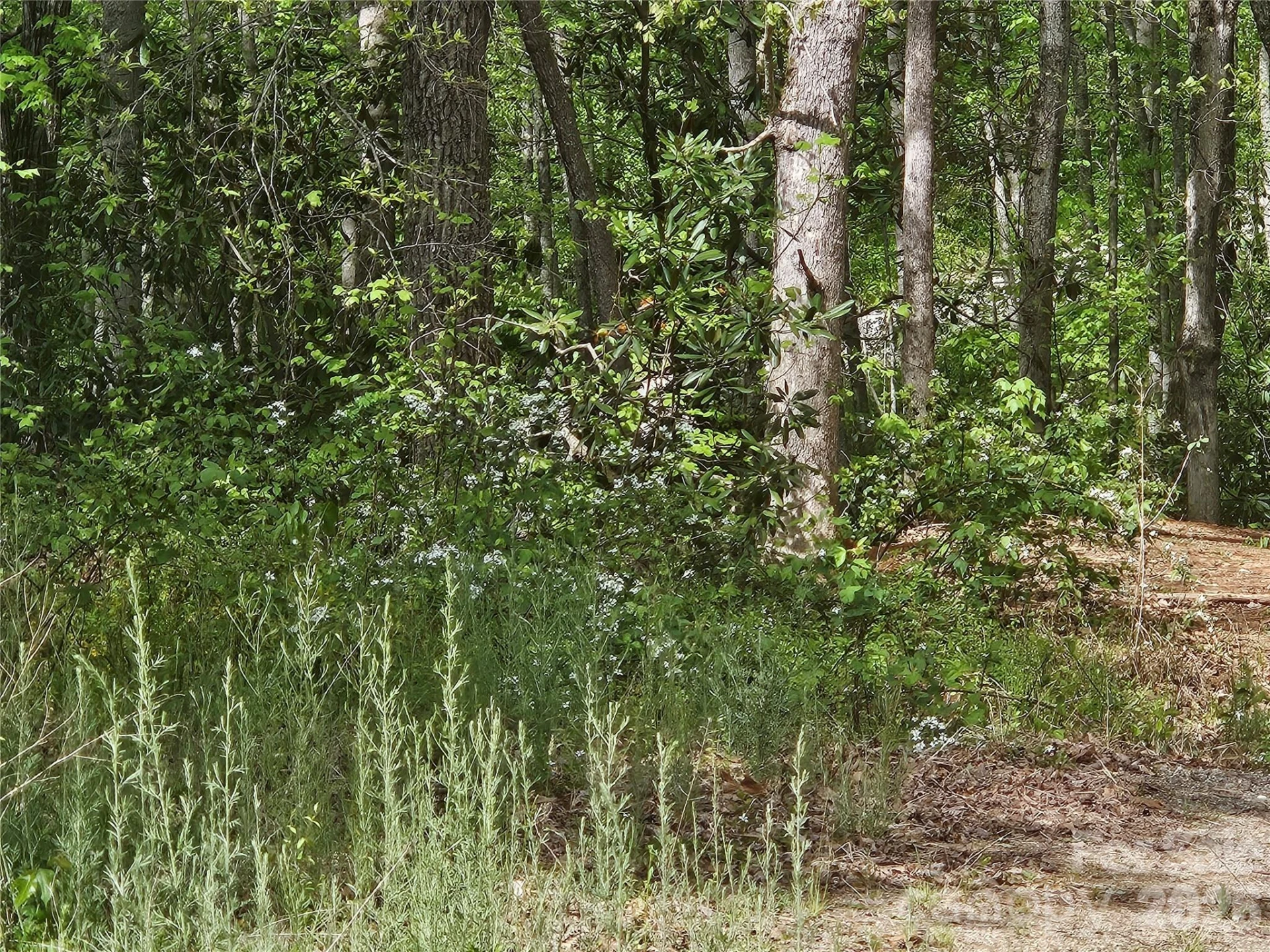22 Graulich Lane #6