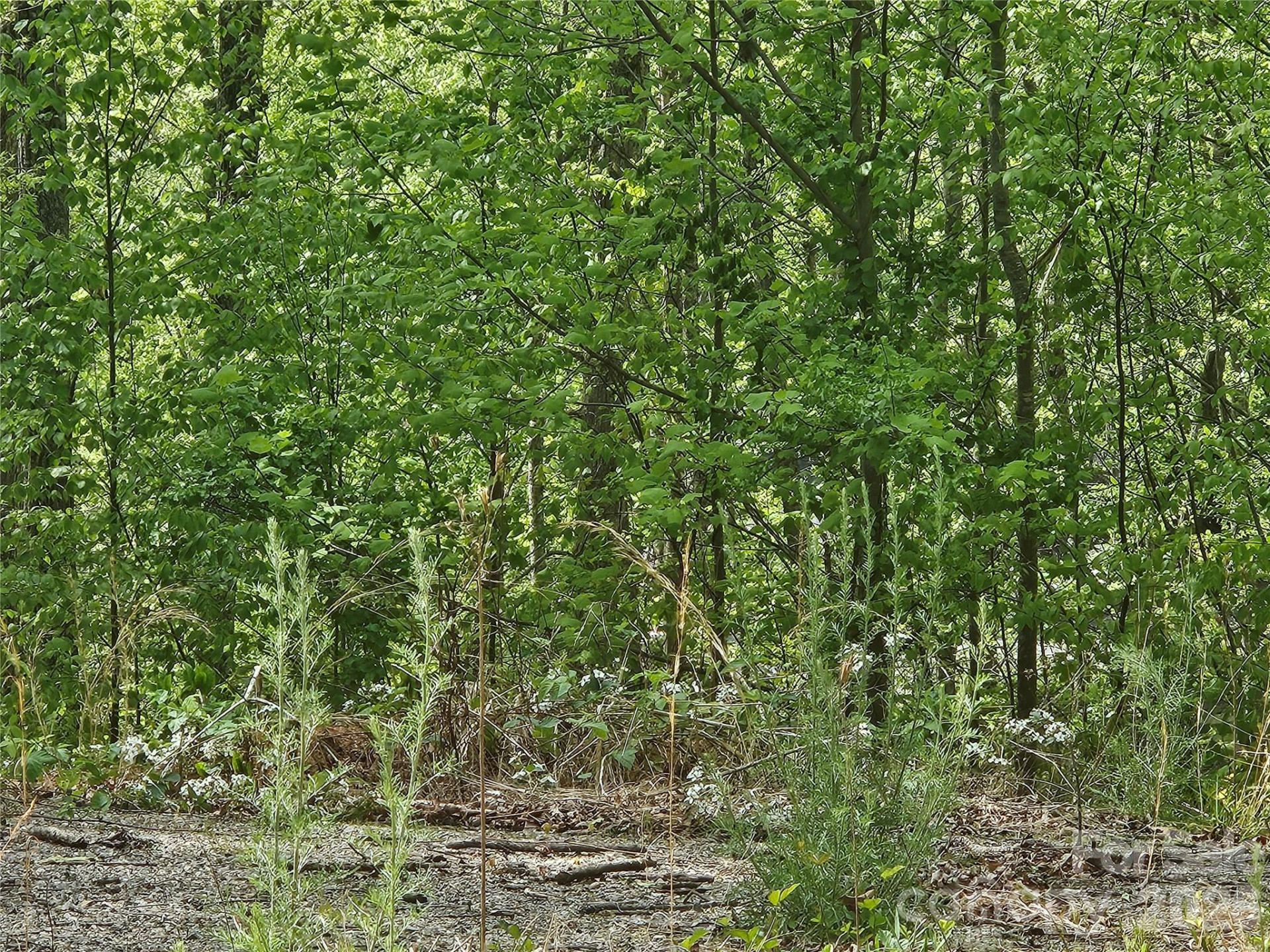 22 Graulich Lane #6 - Photo 2