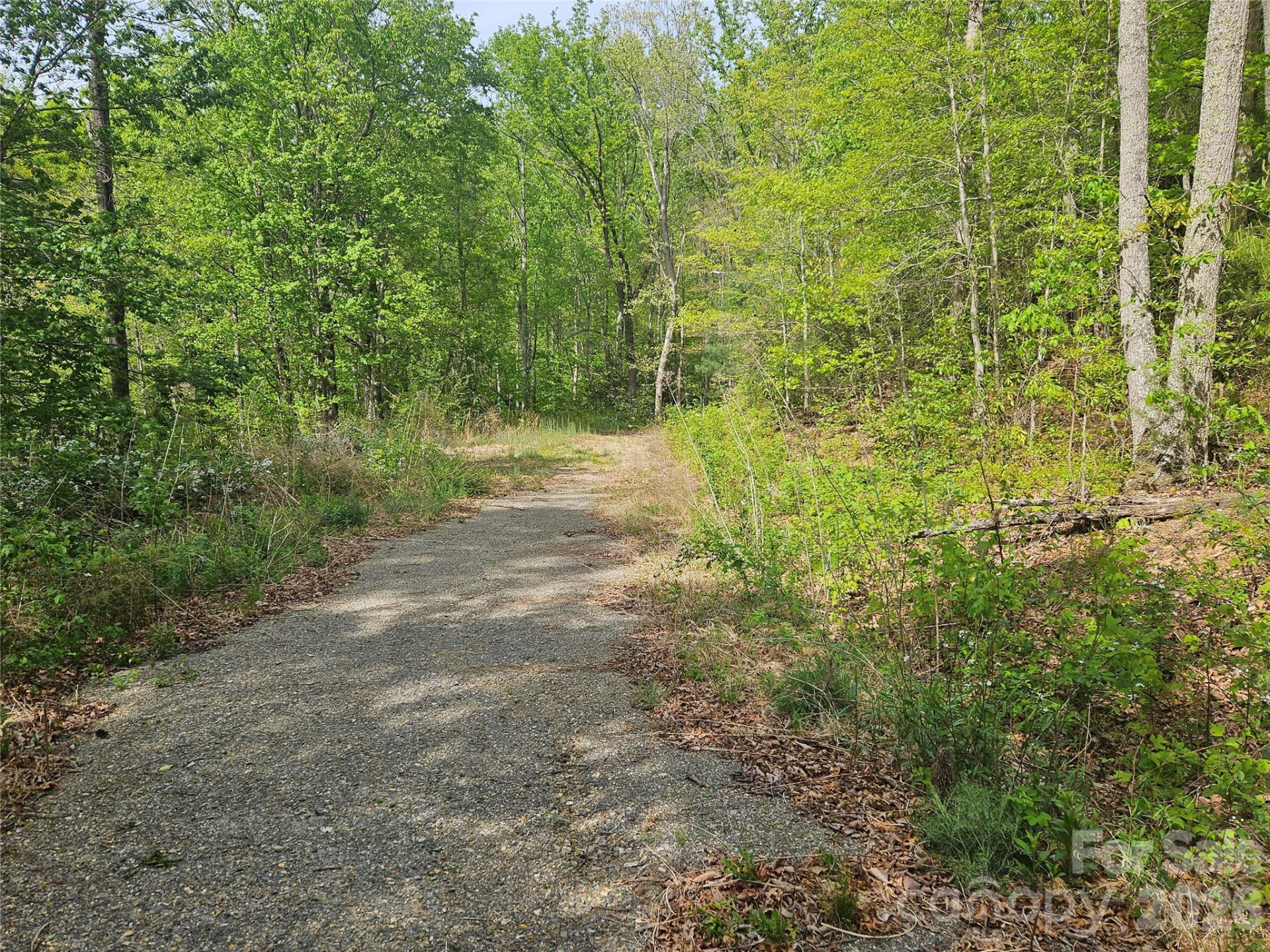 22 Graulich Lane #6 - Photo 3