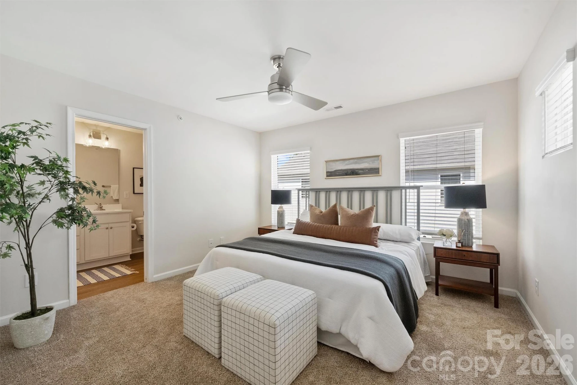 2405 Via del Conte Alley - Photo 11