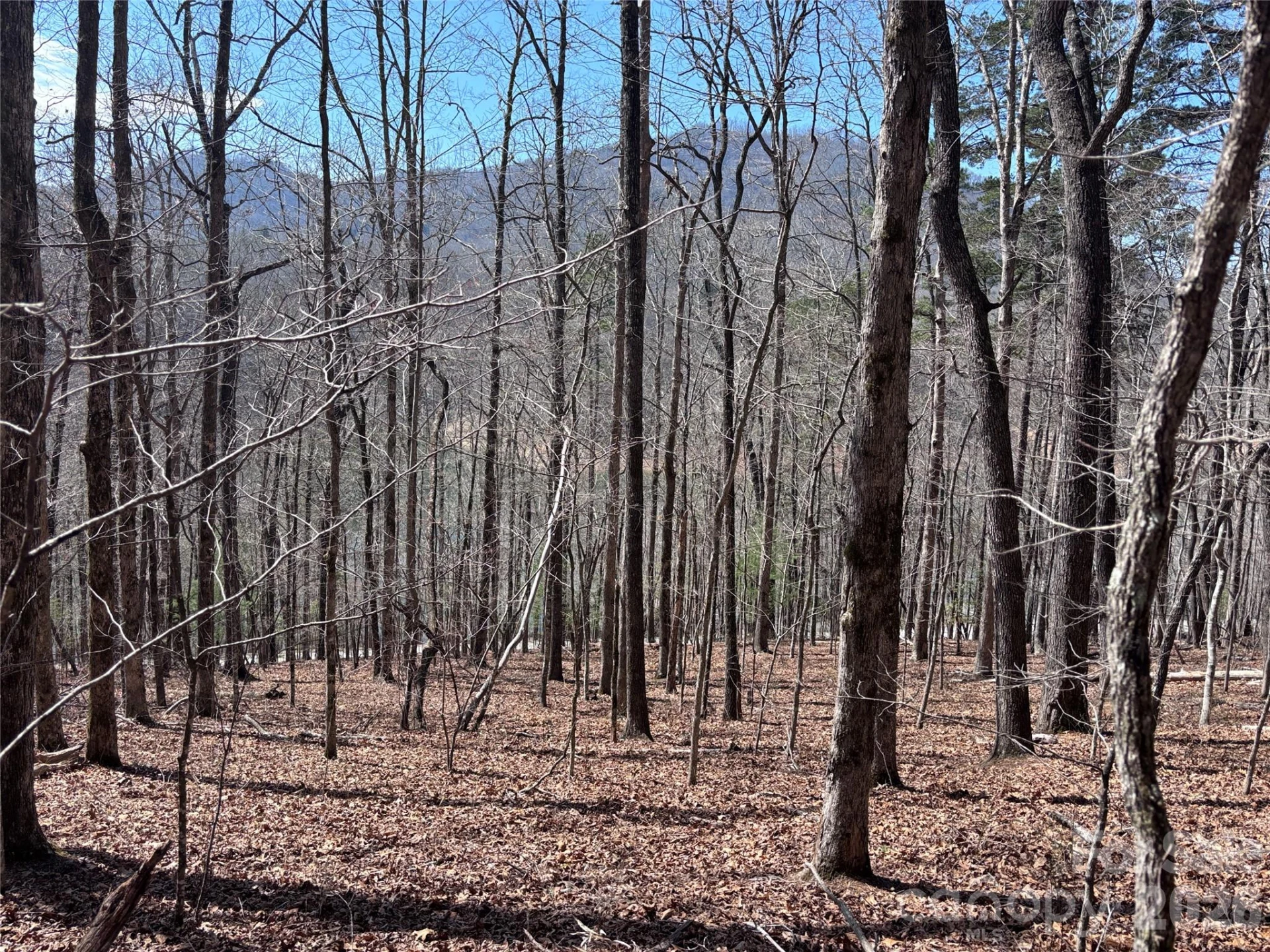 Lot 55-3 Fontana Loop - Photo 20