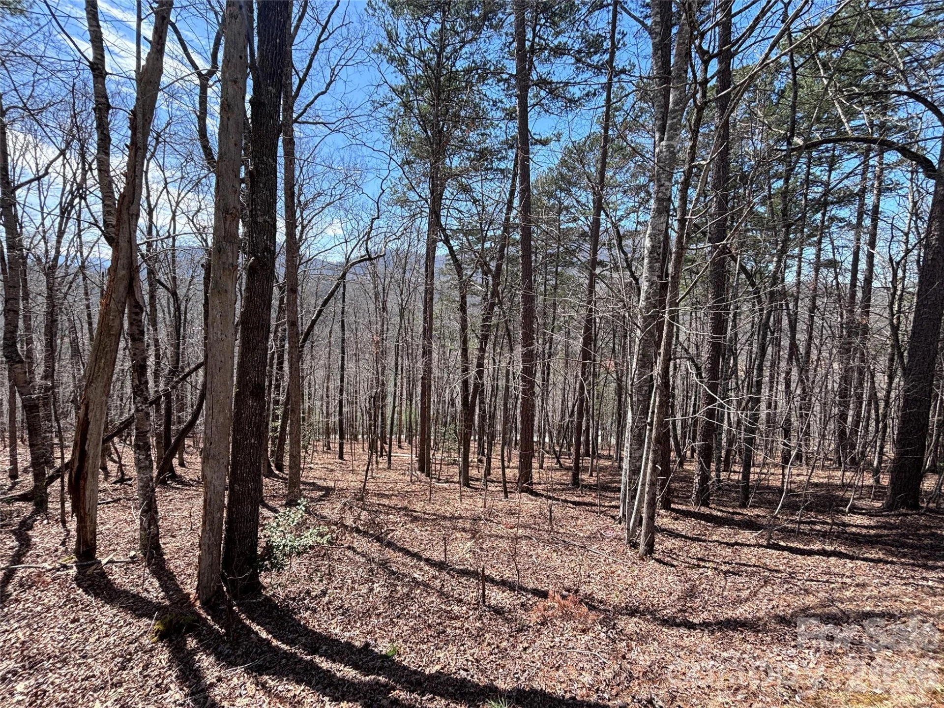 Lot 55-3 Fontana Loop - Photo 3
