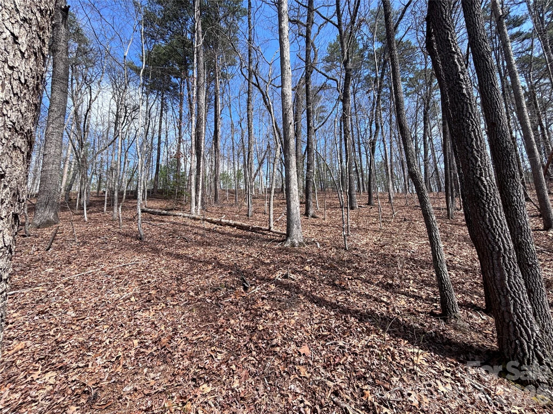 Lot 55-3 Fontana Loop - Photo 4