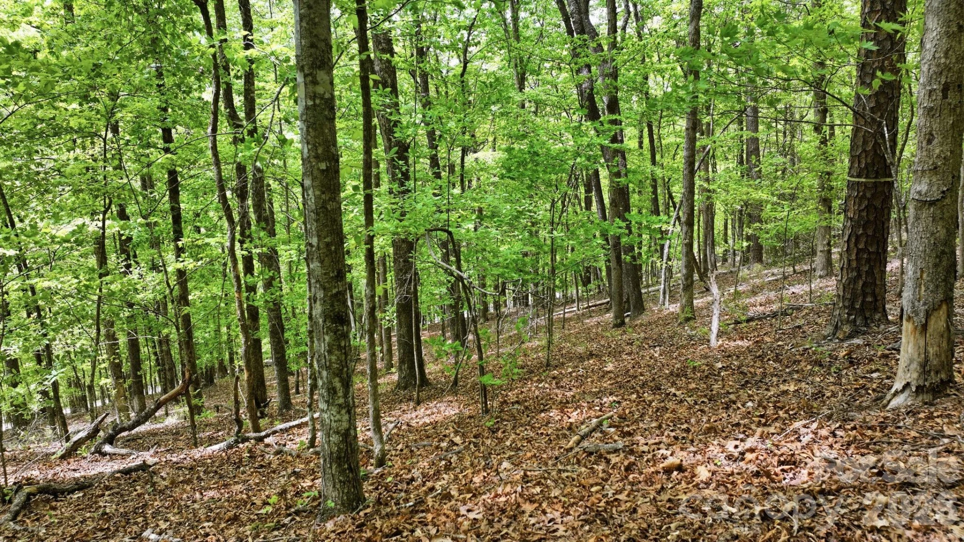 Lot 55-3 Fontana Loop - Photo 5