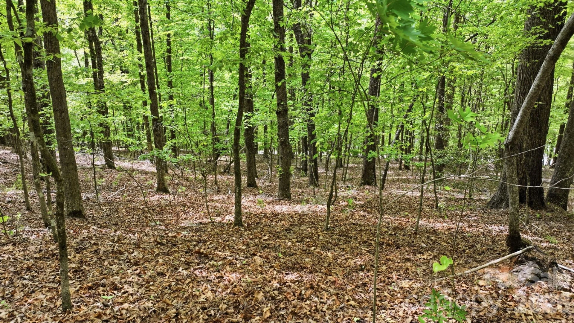 Lot 55-3 Fontana Loop - Photo 6