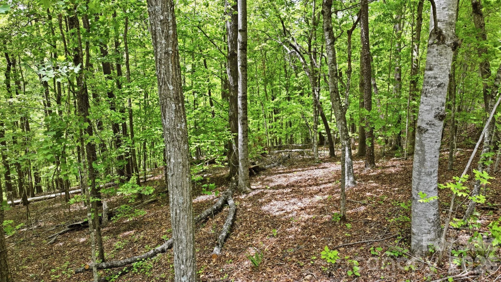 Lot 55-3 Fontana Loop - Photo 7