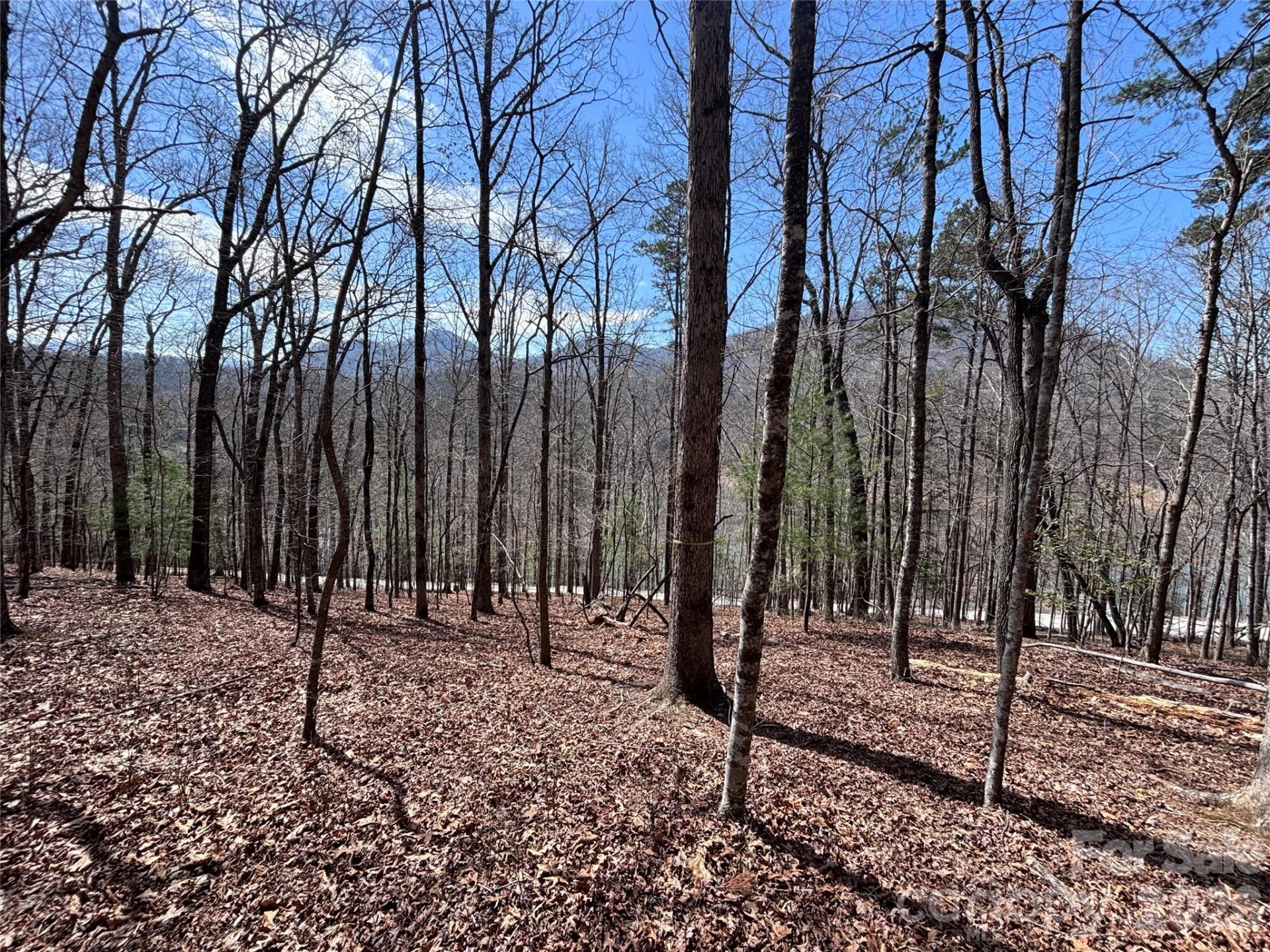 Lot 55-3 Fontana Loop - Photo 8