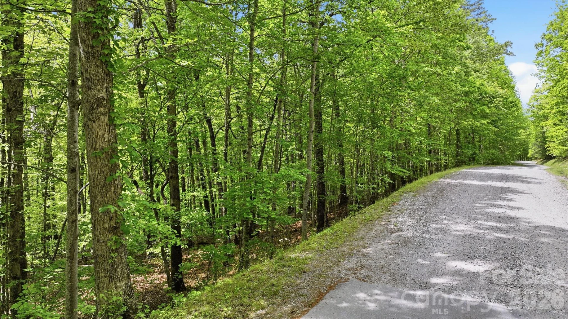 Lot 55-3 Fontana Loop - Photo 9