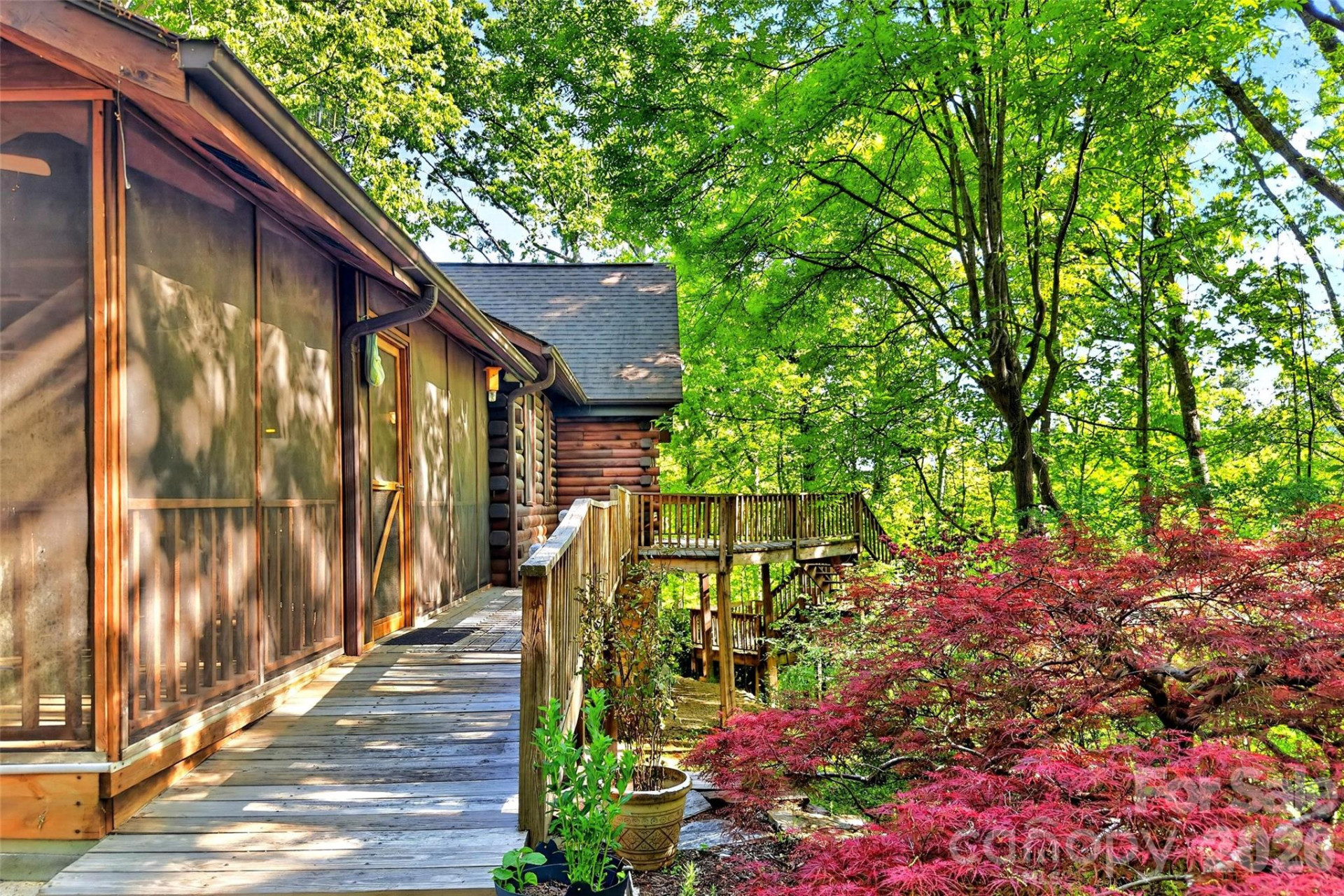 221 Hammer Hollow Drive - Photo 3