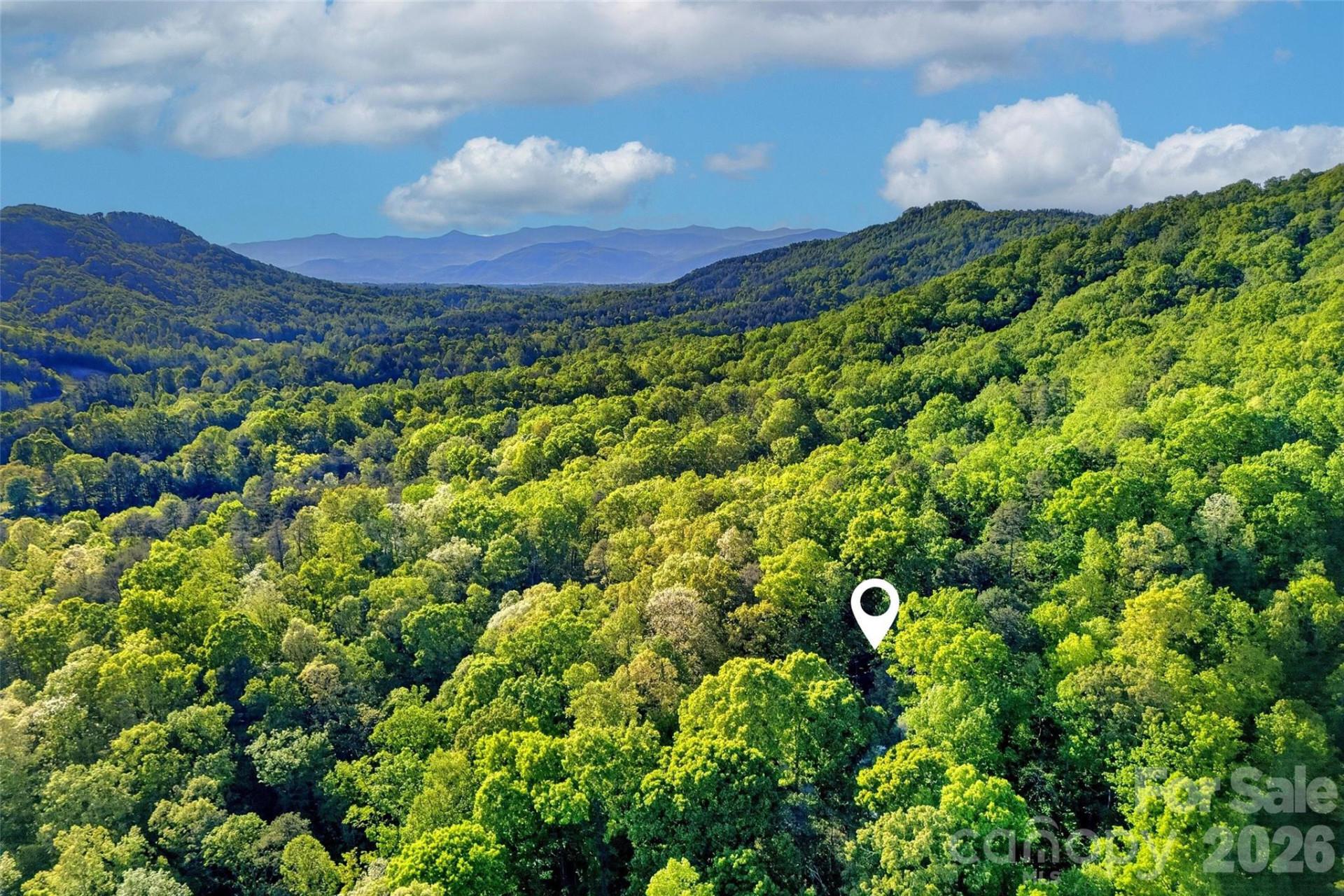 221 Hammer Hollow Drive - Photo 46