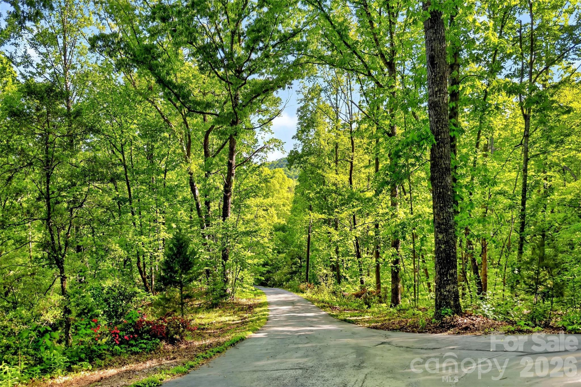 221 Hammer Hollow Drive - Photo 47