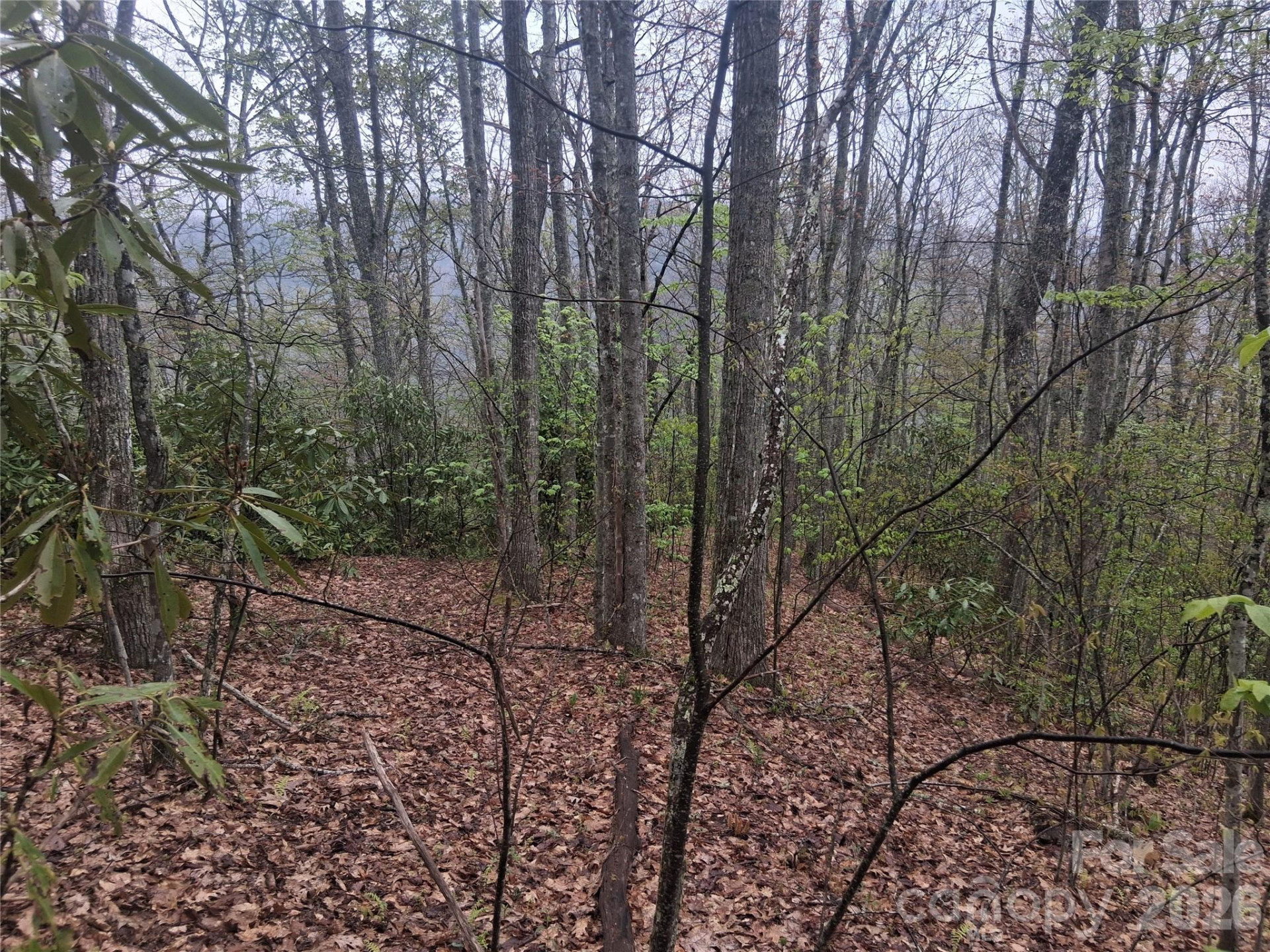 0000 Bear Creek Road - Photo 3