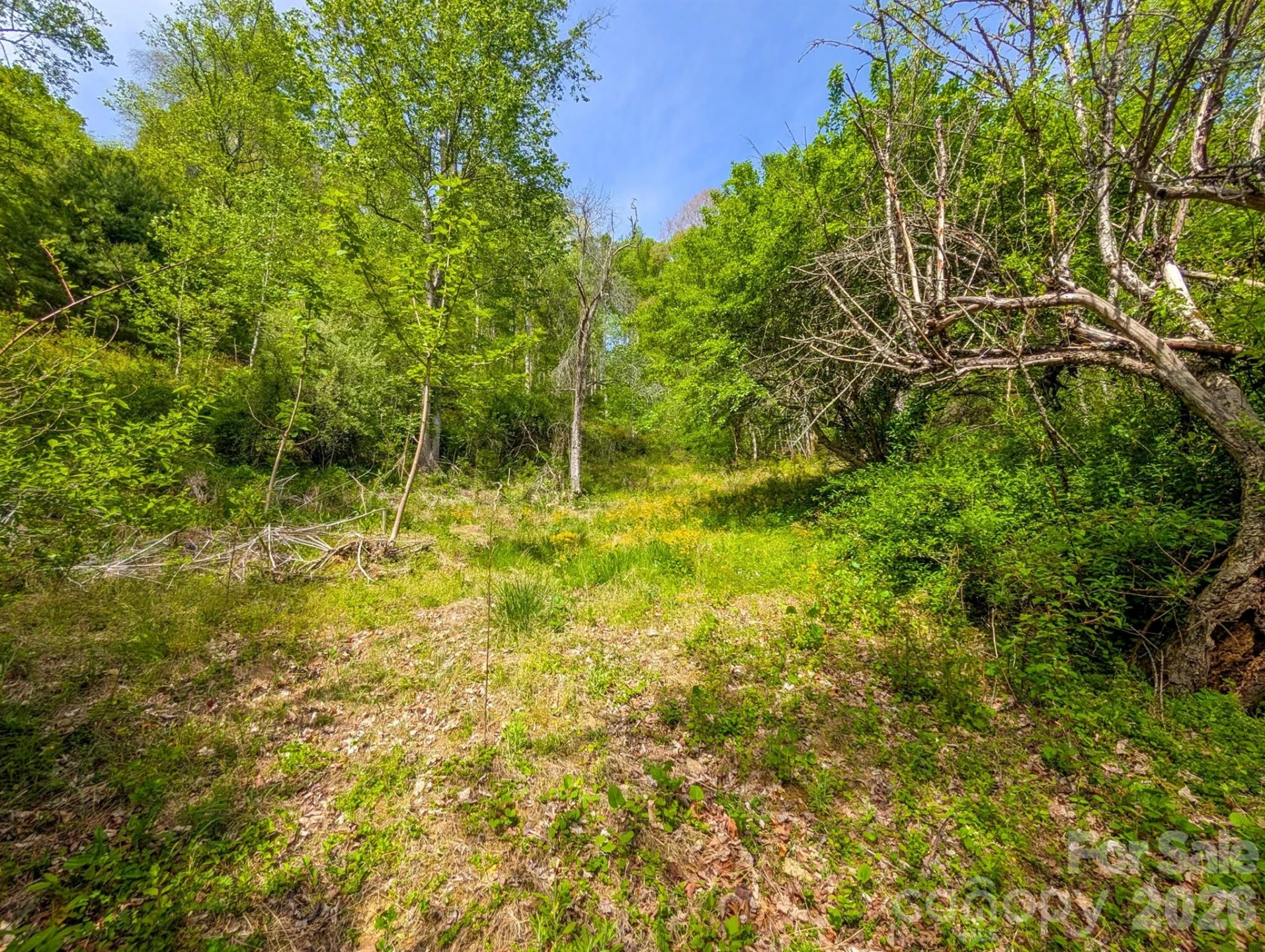 314 Byrd Creek Road - Photo 33