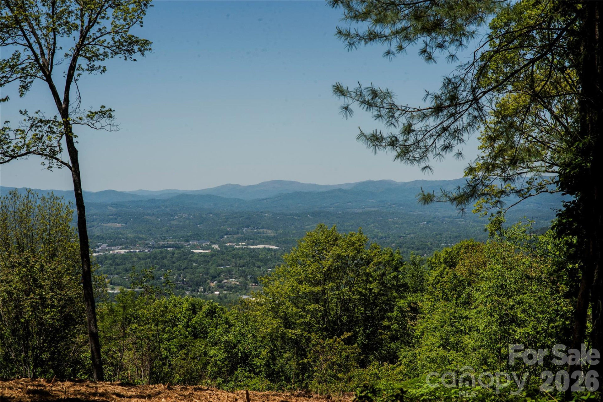 700 Elk Mountain Scenic Highway - Photo 11