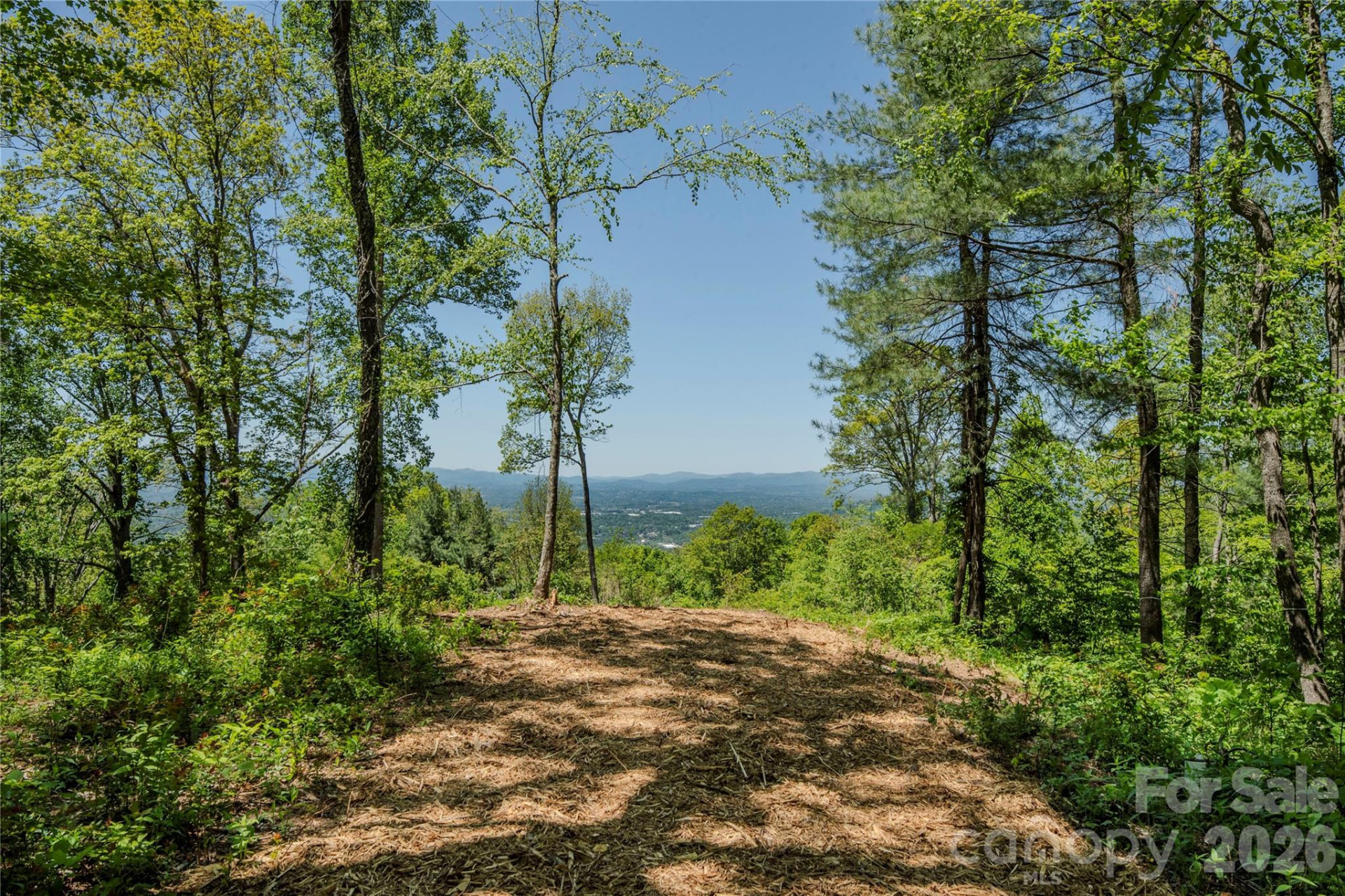 700 Elk Mountain Scenic Highway - Photo 12